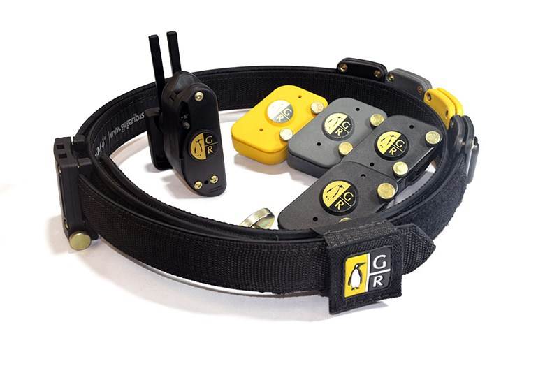 Guga Ribas Universal (2)